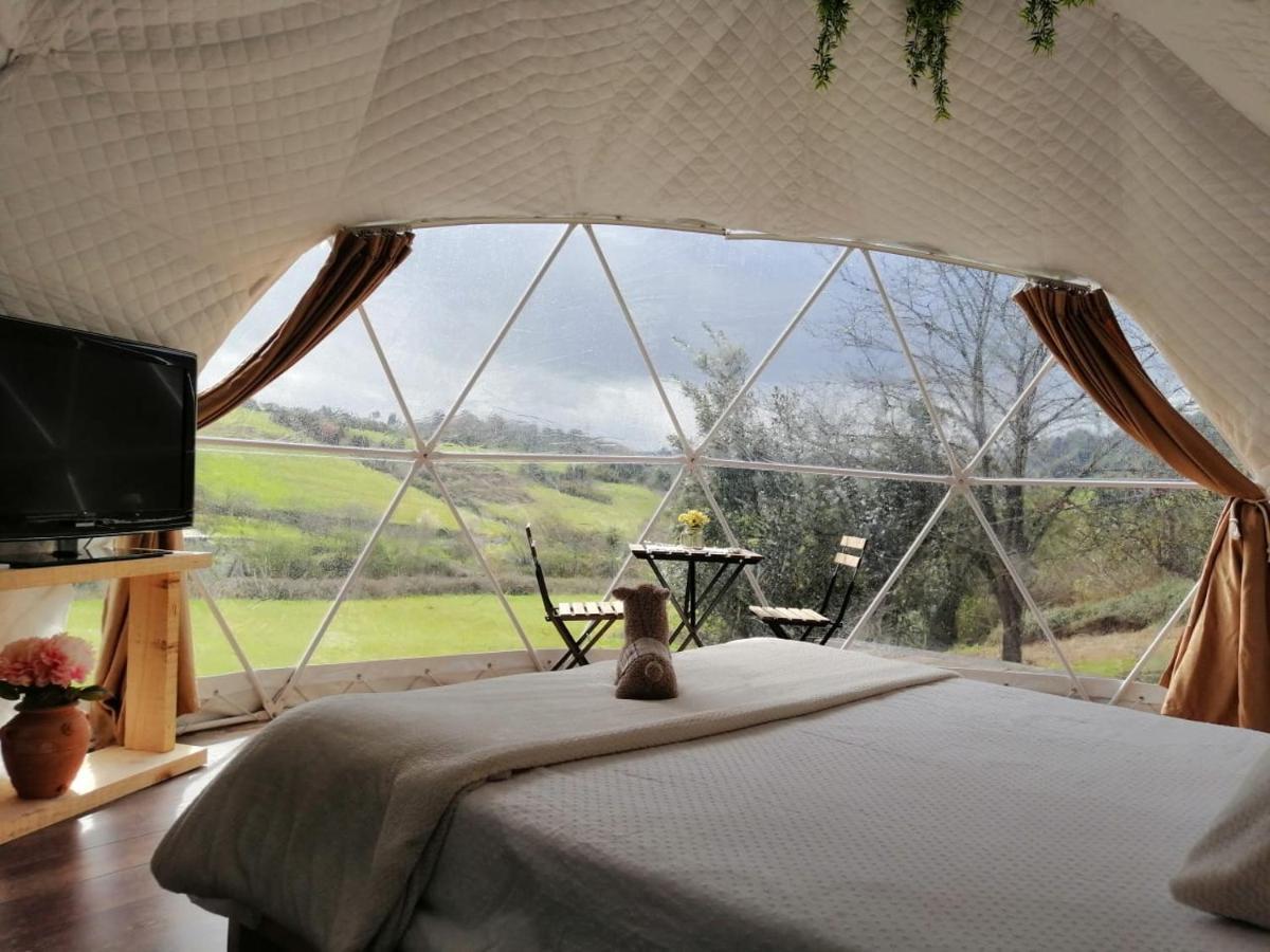 Glamping Quintana Hotel Gijón Exterior foto